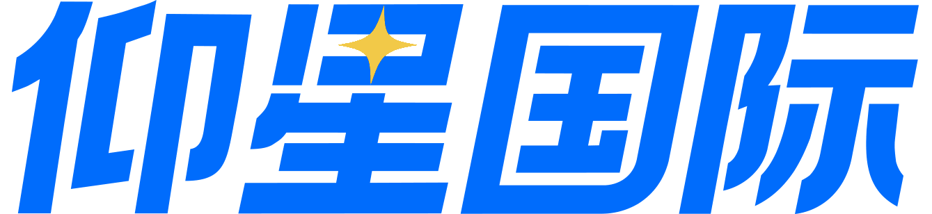 仰星国际